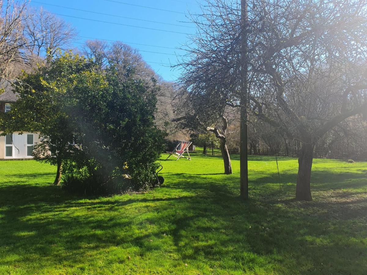 Osbornes Holiday House Near Exeter With Swimming Pool Екстер'єр фото