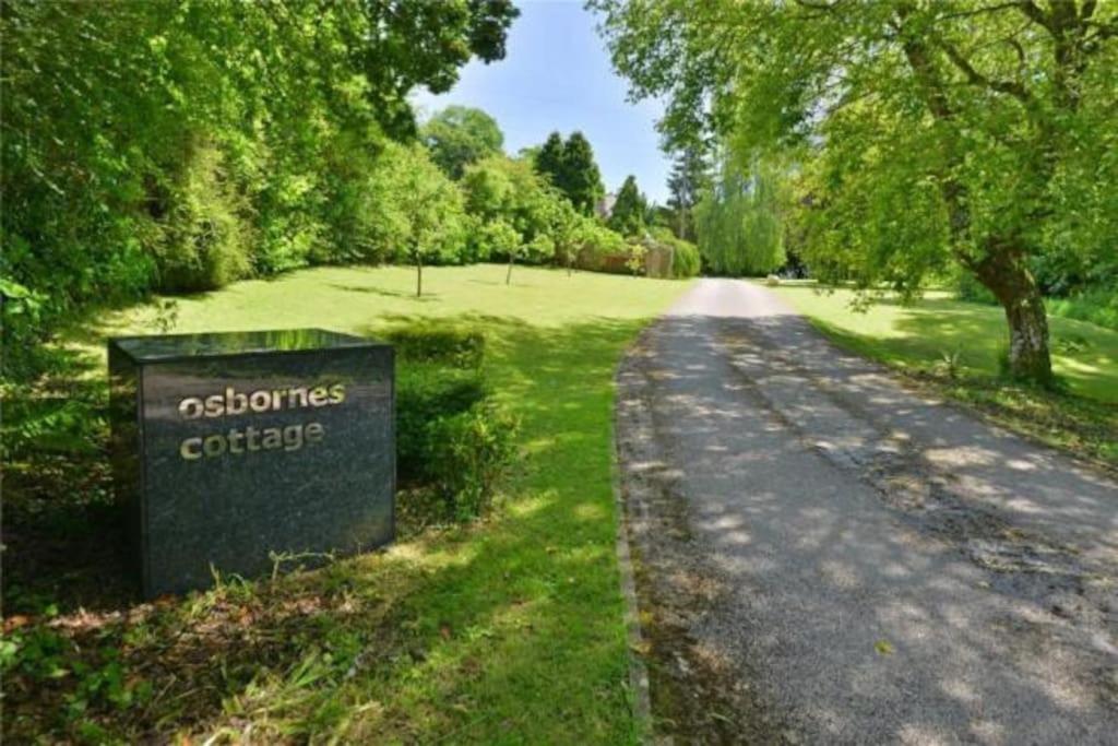 Osbornes Holiday House Near Exeter With Swimming Pool Екстер'єр фото